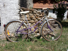 Anquetil violet